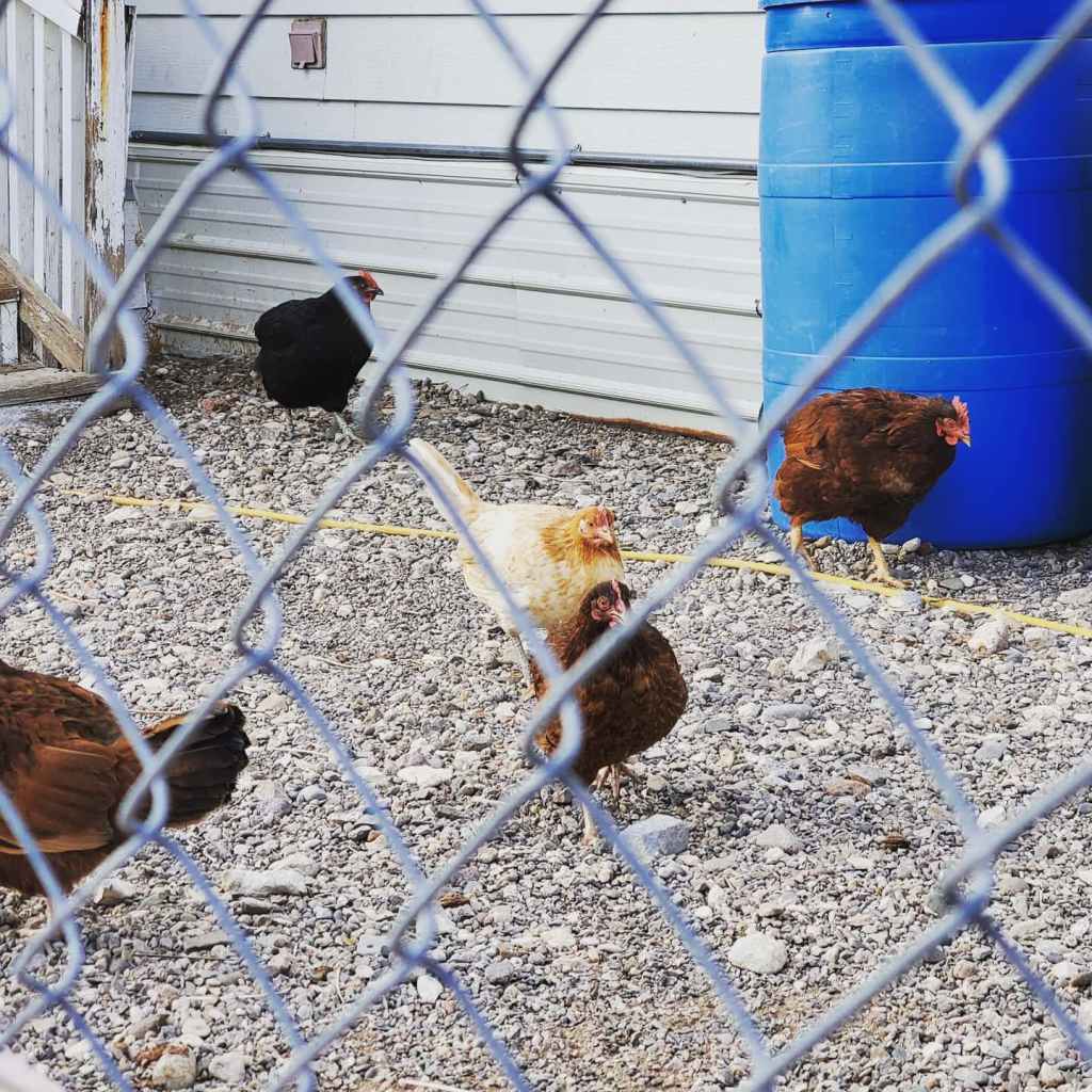 Practice Practice Practice – “The Sky Is Falling” Part&nbsp;2