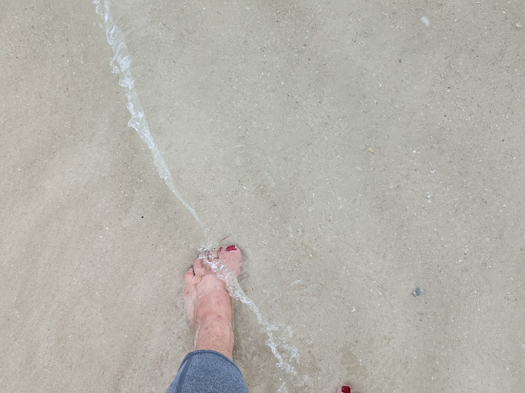 Jellyfish are so pretty. Do not&nbsp;pet.