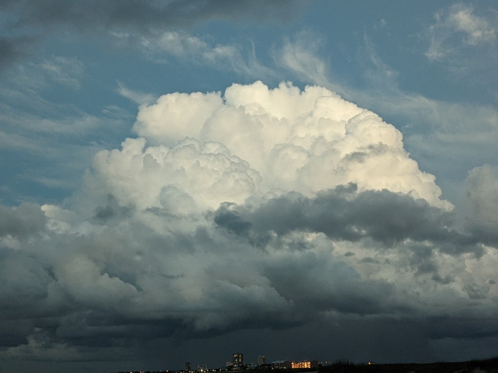 WTF! It’s raining. Glorious&nbsp;water!